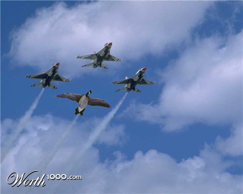 Photoshop Design by tanwal