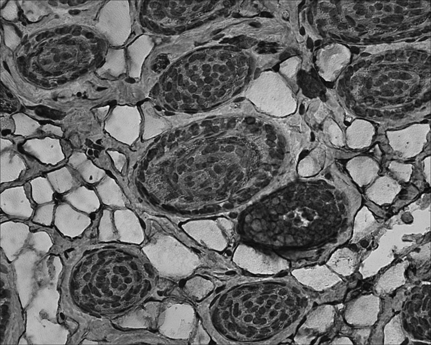 Fotografie von Rouwkema für DesignCrowd (Community Contests) | Design #9021273