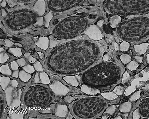 Photography by Rouwkema