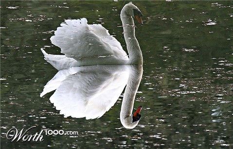 Photography by torkio