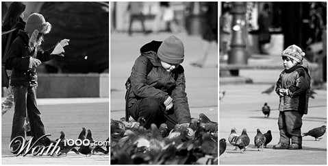 Photography by dratzzi