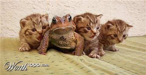 Photoshop Design by rblack