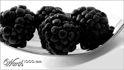 Photography by lilmart