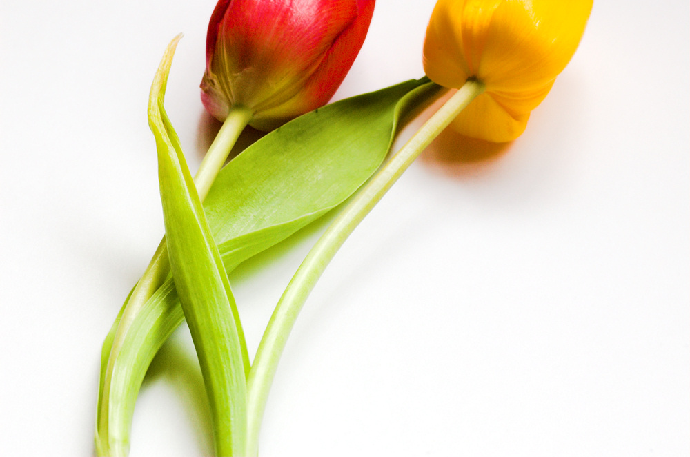 Photography by unit25 for DesignCrowd (Community Contests) | Design #9022772