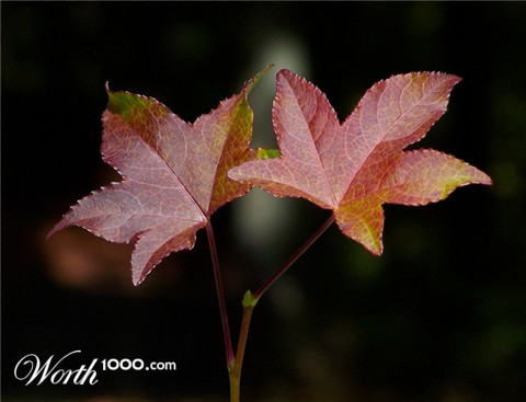 Photography by pixel8r