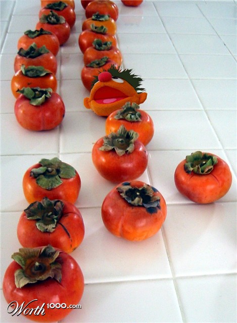 Photoshop Design by zsomeone