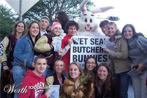 Photoshop Design by nirvanasearch