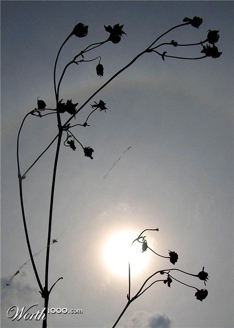 Photography by enigknot