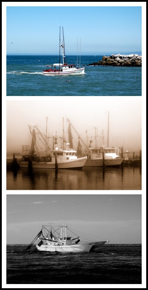 Photography by ejcphoto for DesignCrowd (Community Contests) | Design #9026752