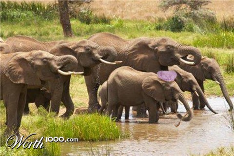 Photoshop Design by scratattack5