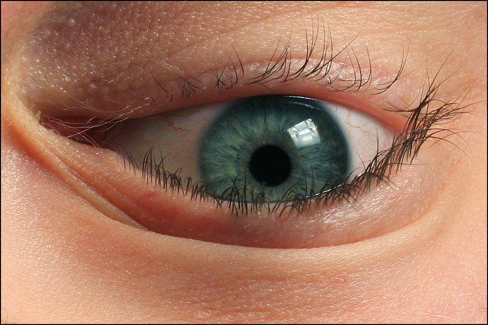 Photography by wiebeiw for DesignCrowd (Community Contests) | Design #9024146