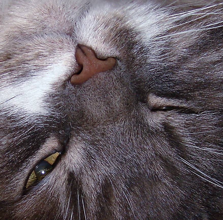 Photographie par Berilu pour DesignCrowd (Community Contests) | Design #9024199