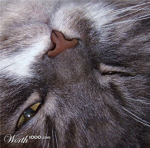 Photography by Berilu