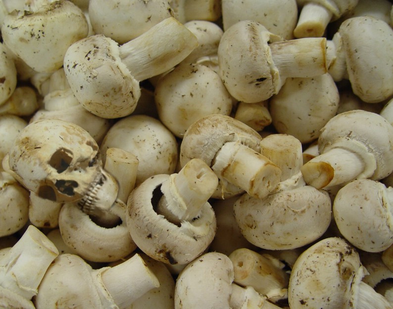 Photoshop Design by ibarra01 for DesignCrowd (Community Contests) | Design #9021447