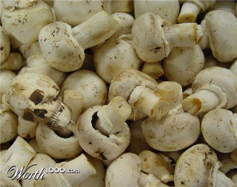 Photoshop Design by ibarra01