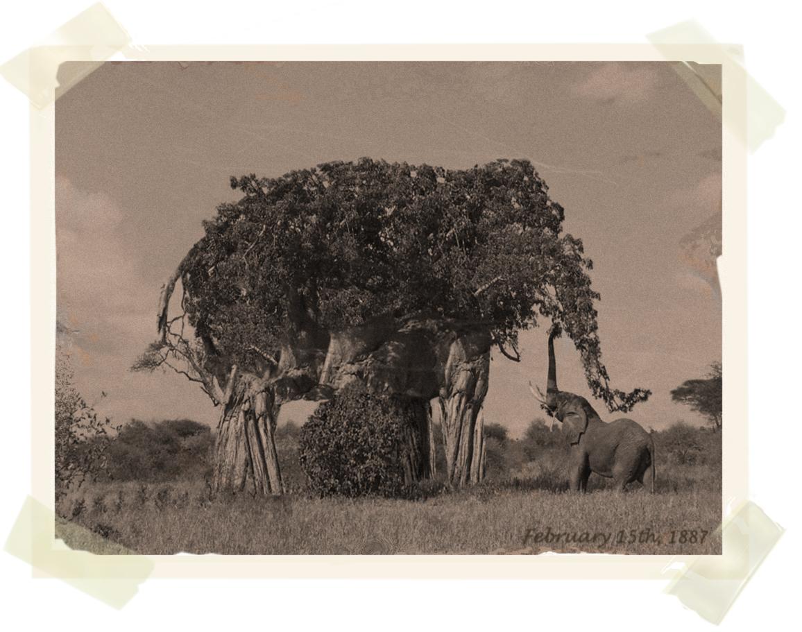 Photoshop Design by sugarcane for DesignCrowd (Community Contests) | Design #9018581