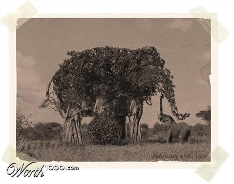 Photoshop Design by sugarcane