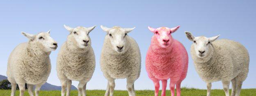 Photoshop Design by RachelB for DesignCrowd (Community Contests) | Design #9021468