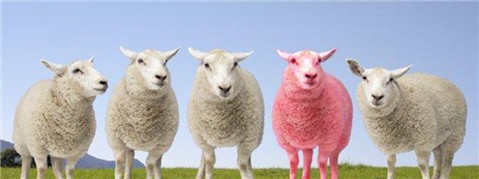 Photoshop Design by RachelB