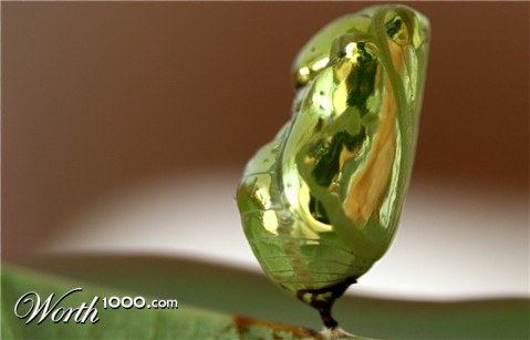 Photography by jayjay007