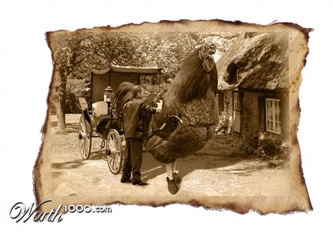 Photoshop Design by HDoyer