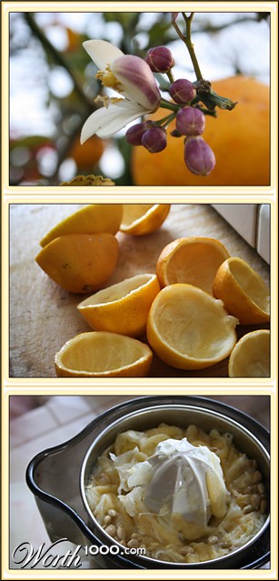 Photography by lilhorseebabee