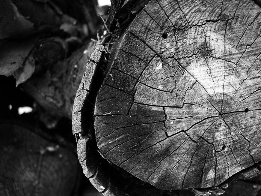 Photographie par westsidecreations pour DesignCrowd (Community Contests) | Design #9021369