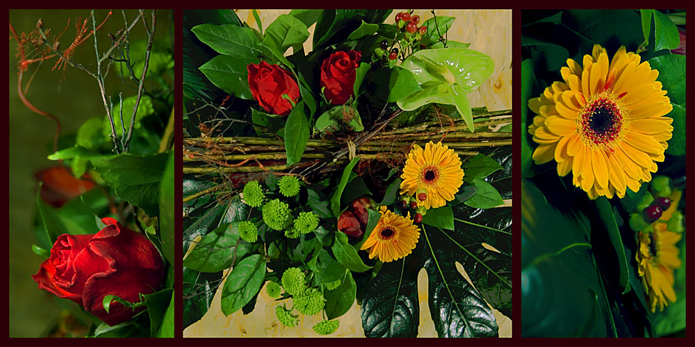 Fotografie von egonlinden für DesignCrowd (Community Contests) | Design #9026761