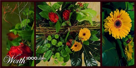 Photography by egonlinden