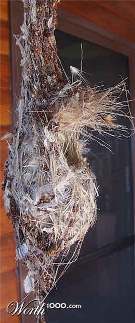 Photography by EyEars