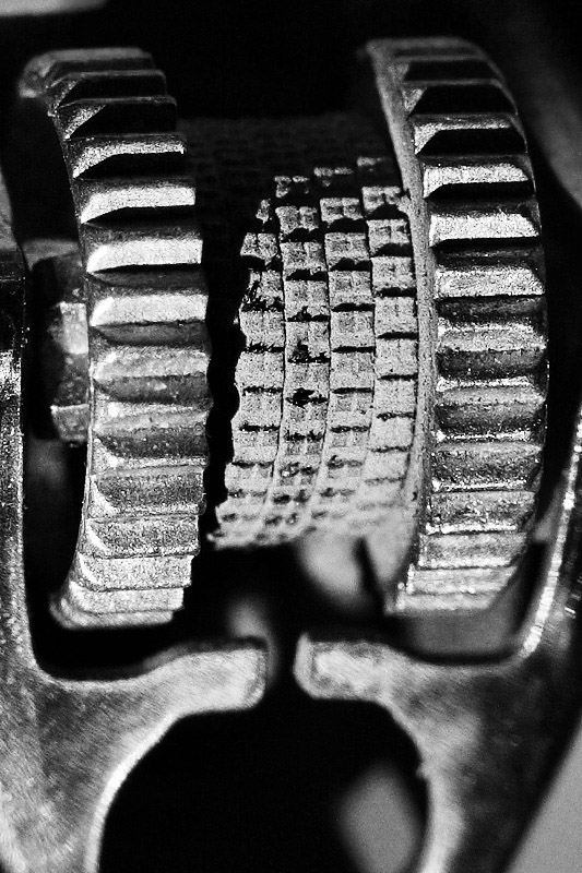 Fotografía por torkio para DesignCrowd (Community Contests) | Diseño #9021393