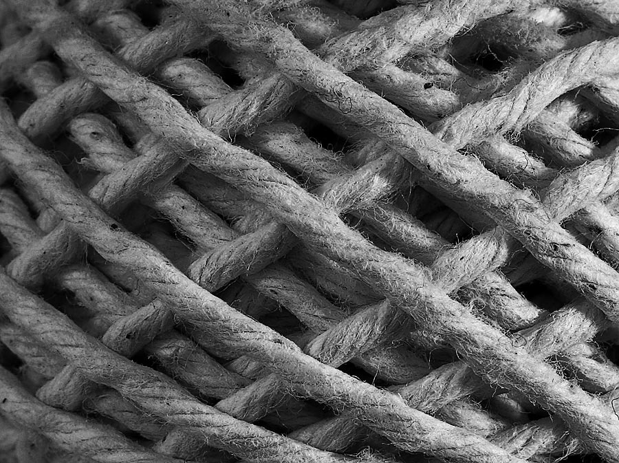 Fotografía por fatheroftwo para DesignCrowd (Community Contests) | Diseño #9021416