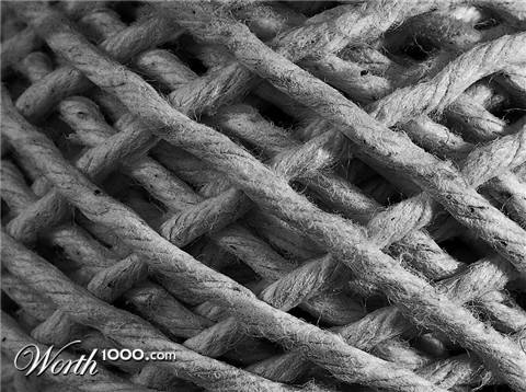 Photography by fatheroftwo