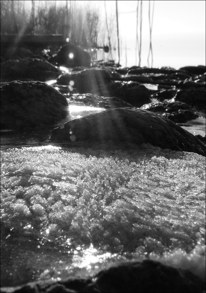Photography by narvin for DesignCrowd (Community Contests) | Design #9021390