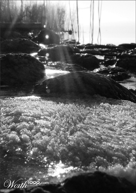 Photography by narvin