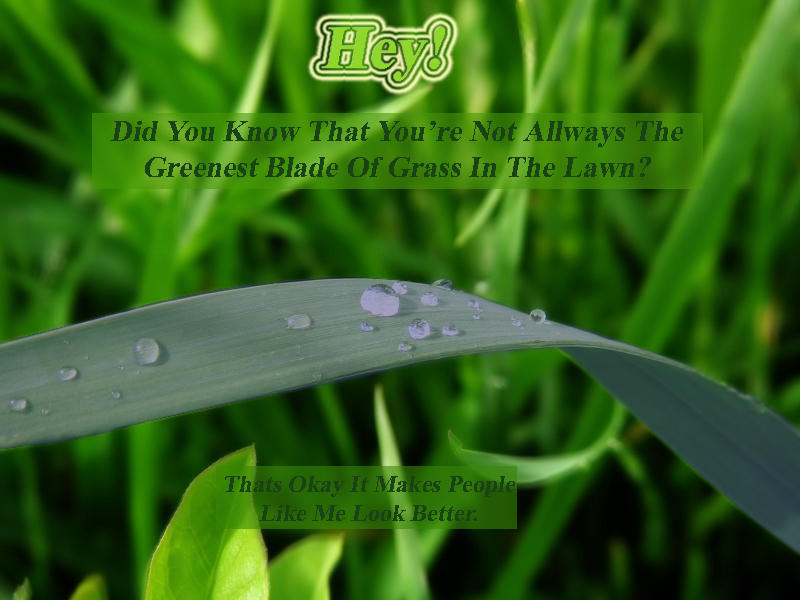 Photoshop Design by mkhwtt2 for DesignCrowd (Community Contests) | Design #9016499