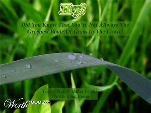 Photoshop Design by mkhwtt2