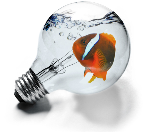 Photoshop-Design von Flimzer für DesignCrowd (Community Contests) | Design #9022783