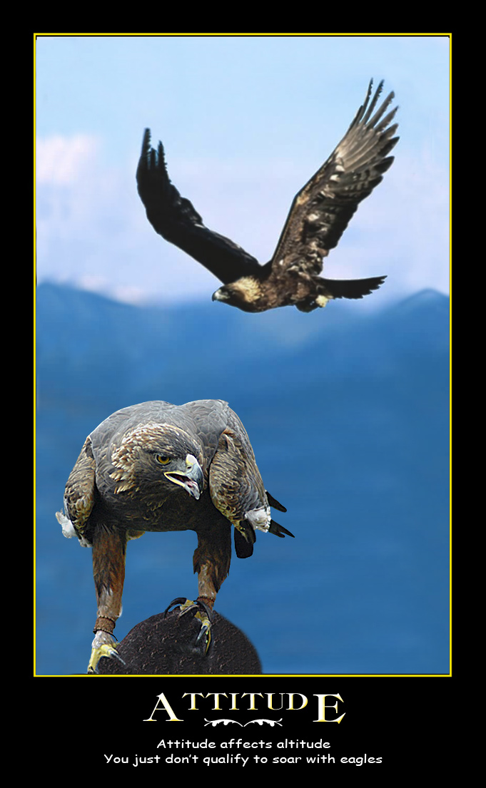 Photoshop Design by cshutt for DesignCrowd (Community Contests) | Design #9016642