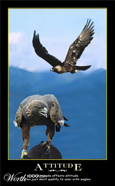 Photoshop Design by cshutt