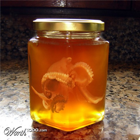 Photoshop Design by HDoyer