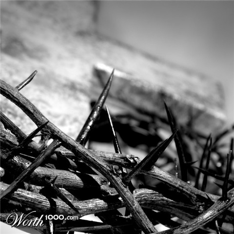 Photography by jlboyd