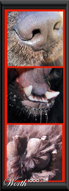 Photography by alwaysbeencreative