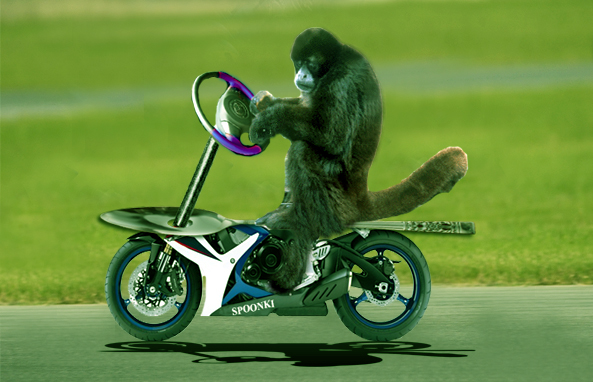 Photoshop Design by ManjushaVO for DesignCrowd (Community Contests) | Design #9023038