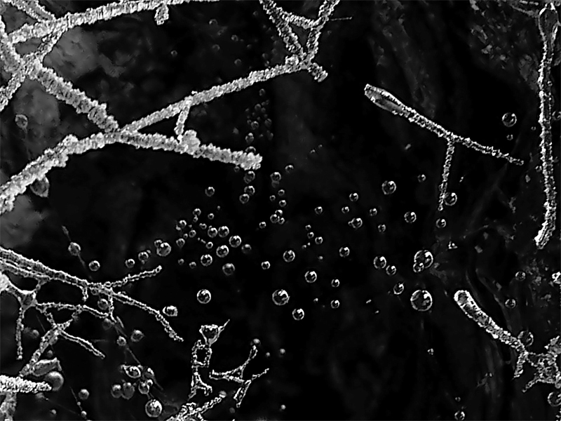 Fotografie von IsleofJura für DesignCrowd (Community Contests) | Design #9021351