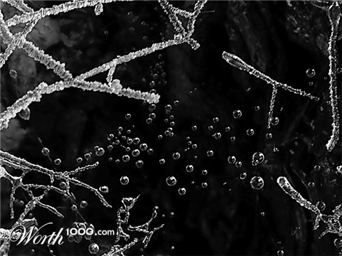 Photography by IsleofJura