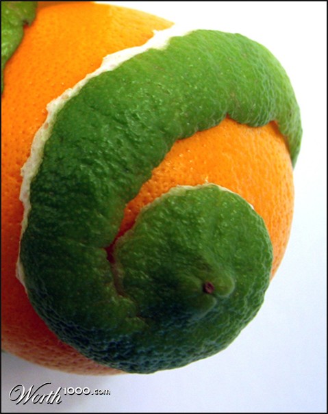 Photography by itsmineillshare