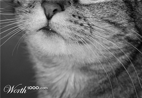 Photography by alwaysbeencreative