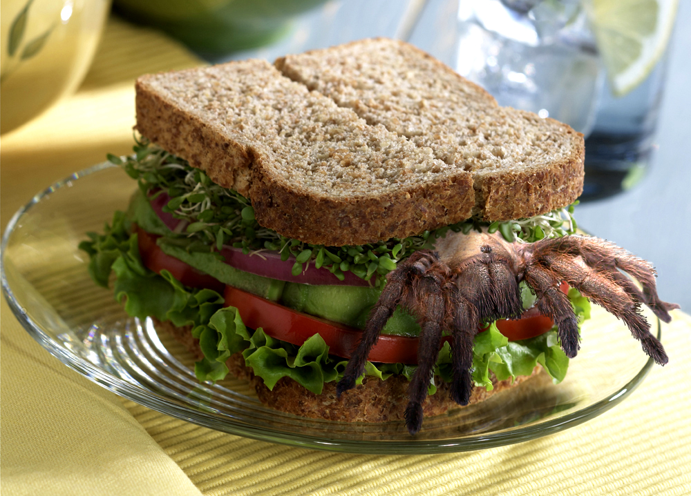 Photoshop Design by Zuezzo for DesignCrowd (Community Contests) | Design #9022869