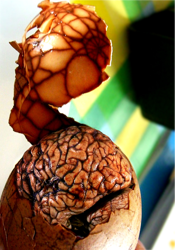 Diseño de Photoshop por Koosricardo para DesignCrowd (Community Contests) | Diseño #9022817